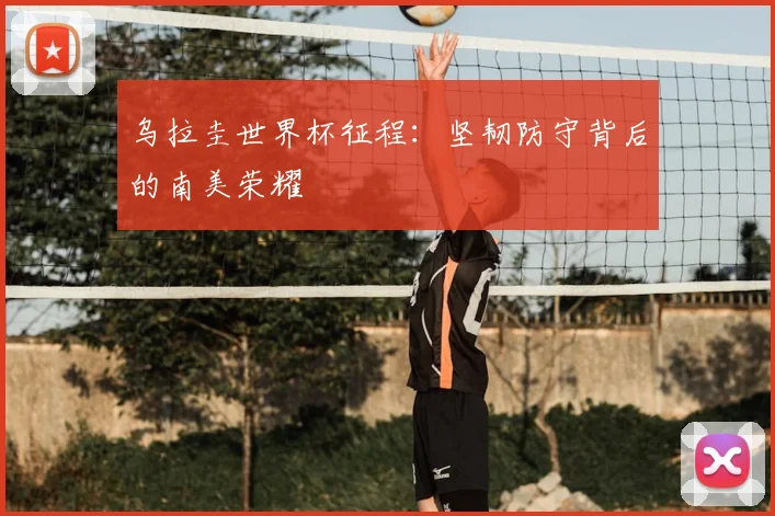 乌拉圭世界杯征程：坚韧防守背后的南美荣耀