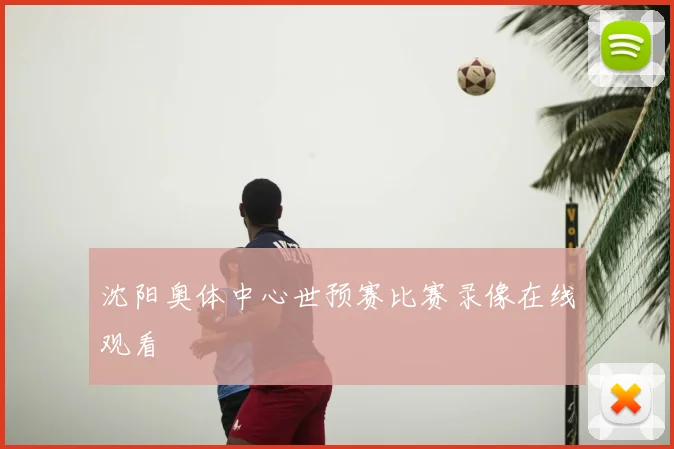 沈阳奥体中心世预赛比赛录像在线观看