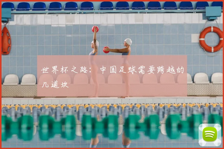 世界杯之路:中国足球需要跨越的几道坎