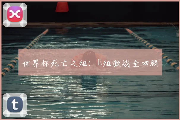 世界杯死亡之组：E组激战全回顾